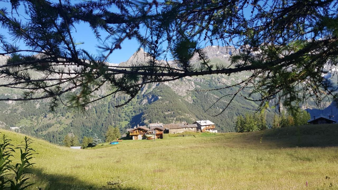Chalet Le Lis Valtournenche Esterno foto